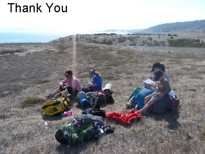 Thank You Thank You