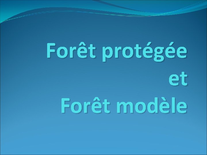 Forêt protégée et Forêt modèle 