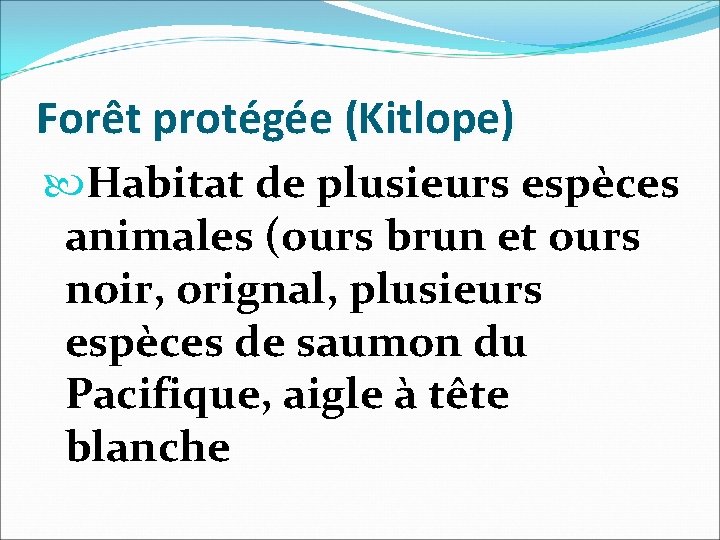 Forêt protégée (Kitlope) Habitat de plusieurs espèces animales (ours brun et ours noir, orignal,