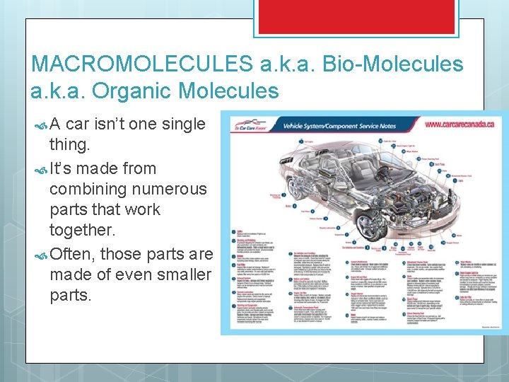 MACROMOLECULES a. k. a. Bio-Molecules a. k. a. Organic Molecules A car isn’t one