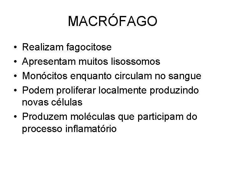 MACRÓFAGO • • Realizam fagocitose Apresentam muitos lisossomos Monócitos enquanto circulam no sangue Podem