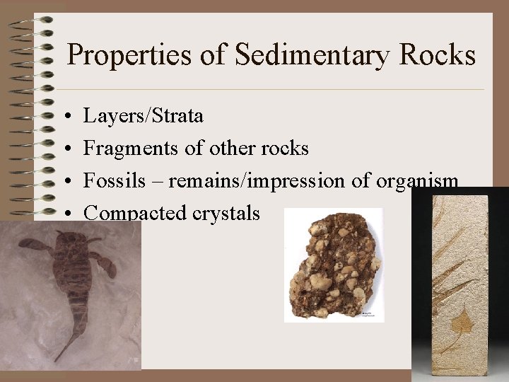 Properties of Sedimentary Rocks • • Layers/Strata Fragments of other rocks Fossils – remains/impression