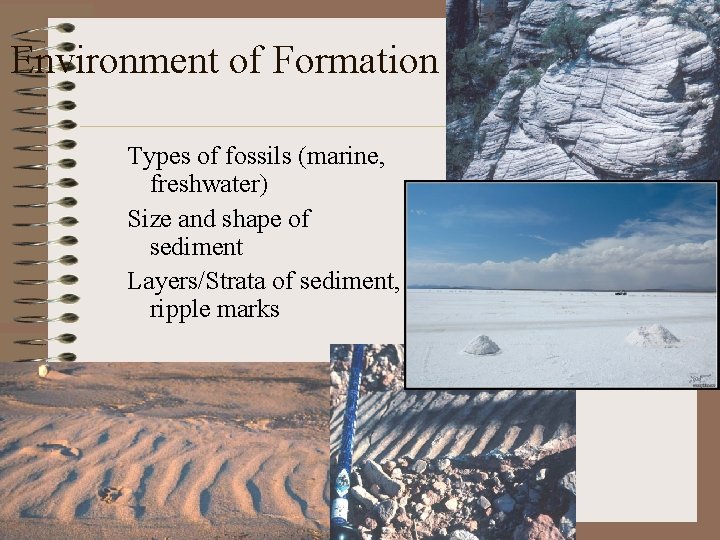 Environment of Formation Types of fossils (marine, freshwater) Size and shape of sediment Layers/Strata