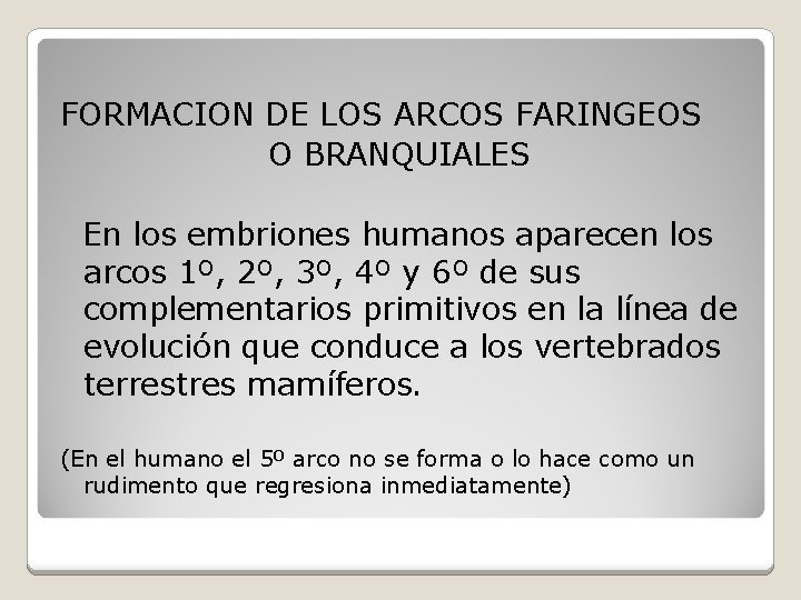 FORMACION DE LOS ARCOS FARINGEOS O BRANQUIALES En los embriones humanos aparecen los arcos