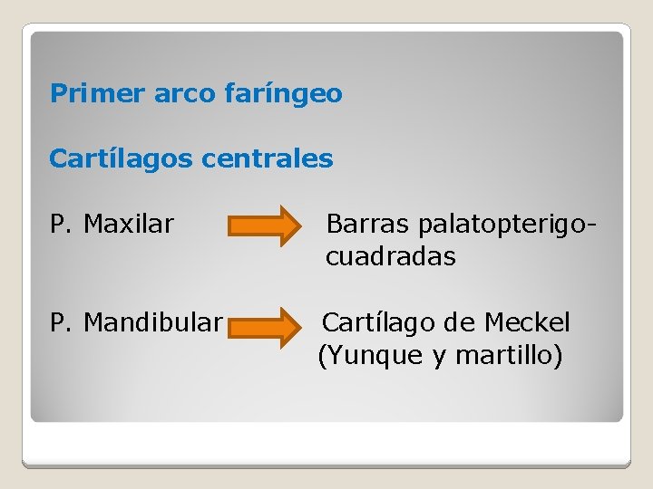 Primer arco faríngeo Cartílagos centrales P. Maxilar P. Mandibular Barras palatopterigocuadradas Cartílago de Meckel