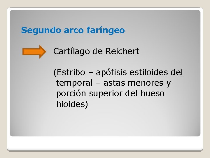 Segundo arco faríngeo Cartílago de Reichert (Estribo – apófisis estiloides del temporal – astas