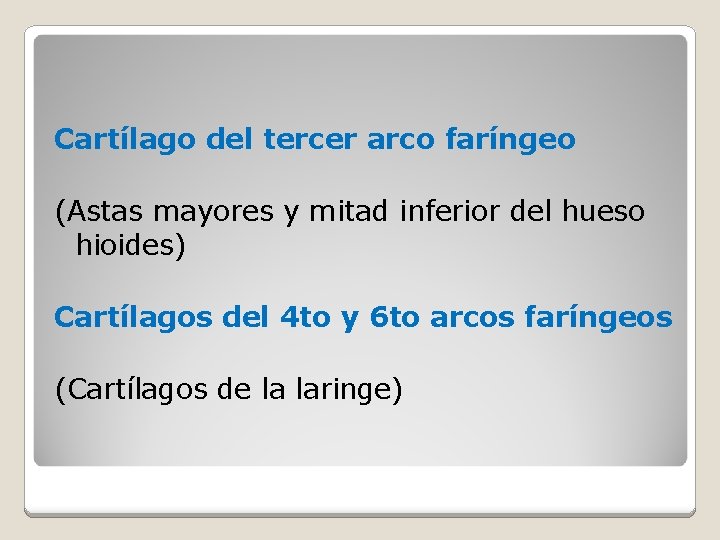 Cartílago del tercer arco faríngeo (Astas mayores y mitad inferior del hueso hioides) Cartílagos