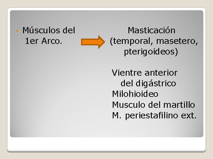  • Músculos del 1 er Arco. Masticación (temporal, masetero, pterigoideos) Vientre anterior del