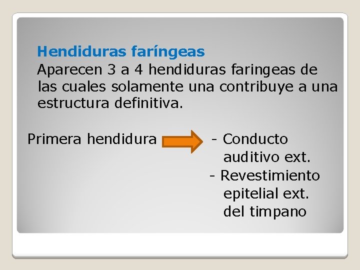 Hendiduras faríngeas Aparecen 3 a 4 hendiduras faringeas de las cuales solamente una contribuye