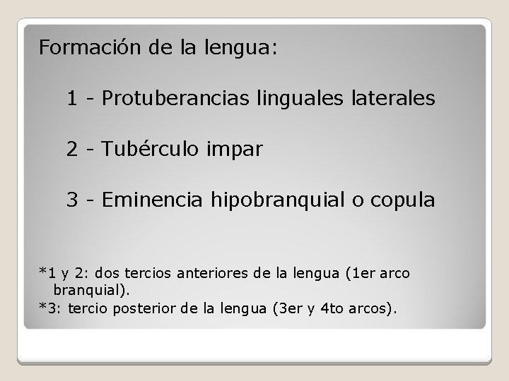 Formación de la lengua: 1 - Protuberancias linguales laterales 2 - Tubérculo impar 3