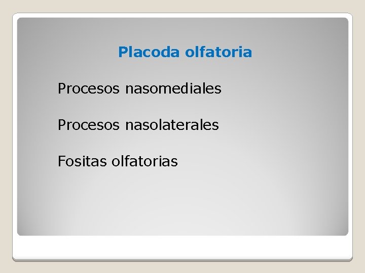 Placoda olfatoria Procesos nasomediales Procesos nasolaterales Fositas olfatorias 