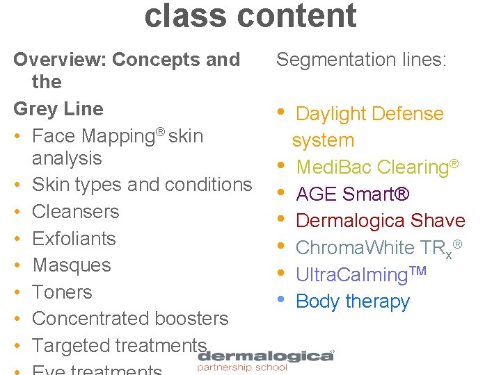 class content Overview: Concepts and the Grey Line • Face Mapping® skin analysis •