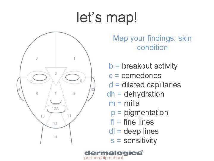 let’s map! Map your findings: skin condition b = breakout activity c = comedones