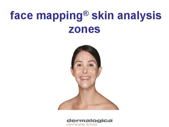 face ® mapping skin analysis zones 