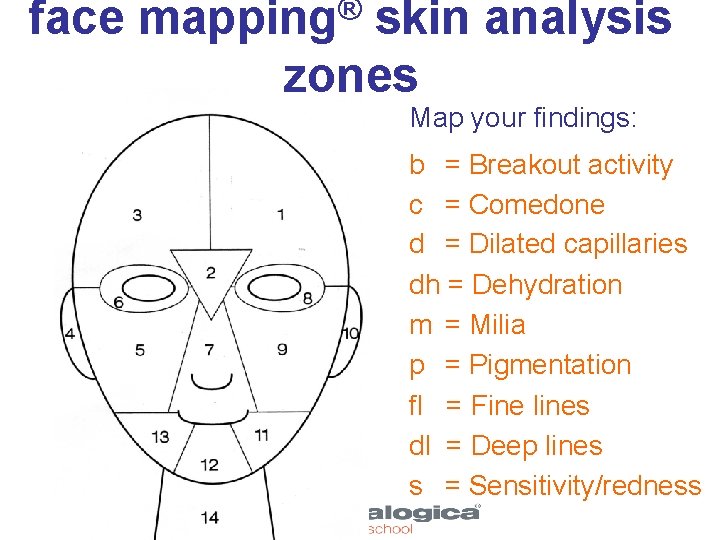 face ® mapping skin analysis zones Map your findings: b = Breakout activity c