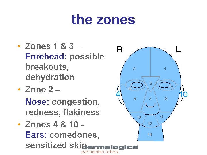 the zones • Zones 1 & 3 – Forehead: possible breakouts, dehydration • Zone