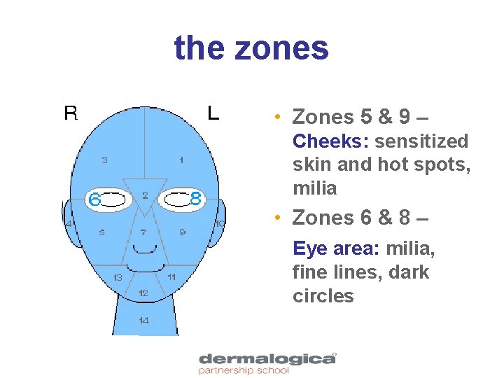 the zones • Zones 5 & 9 – Cheeks: sensitized skin and hot spots,