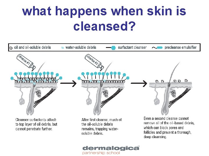 what happens when skin is cleansed? 