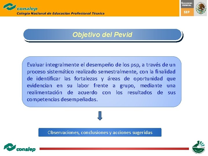 Objetivo del Pevid Evaluar integralmente el desempeño de los psp, a través de un Objetivo del Pevid Evaluar integralmente el desempeño de los psp, a través de un
