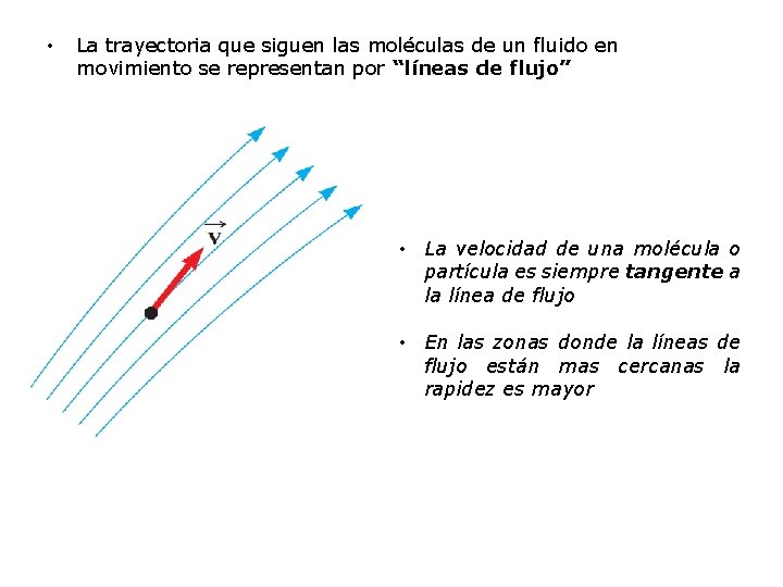  • La trayectoria que siguen las moléculas de un fluido en movimiento se