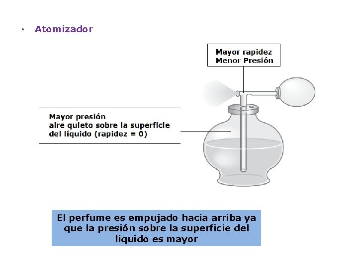 • Atomizador El perfume es empujado hacia arriba ya que la presión sobre