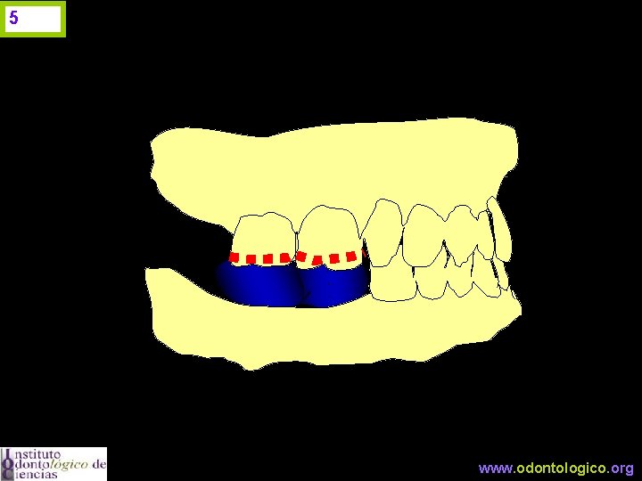 5 www. odontologico. org 