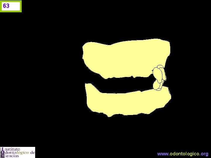 63 www. odontologico. org 