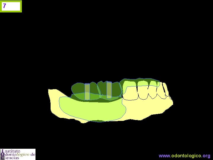 7 www. odontologico. org 