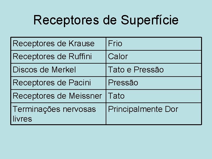 Receptores de Superfície Receptores de Krause Frio Receptores de Ruffini Calor Discos de Merkel