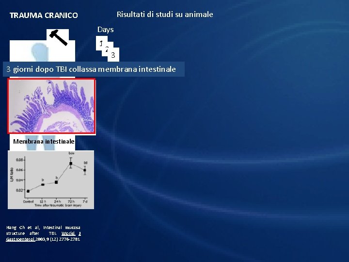 Risultati di studi su animale TRAUMA CRANICO Days 1 2 3 3 giorni dopo