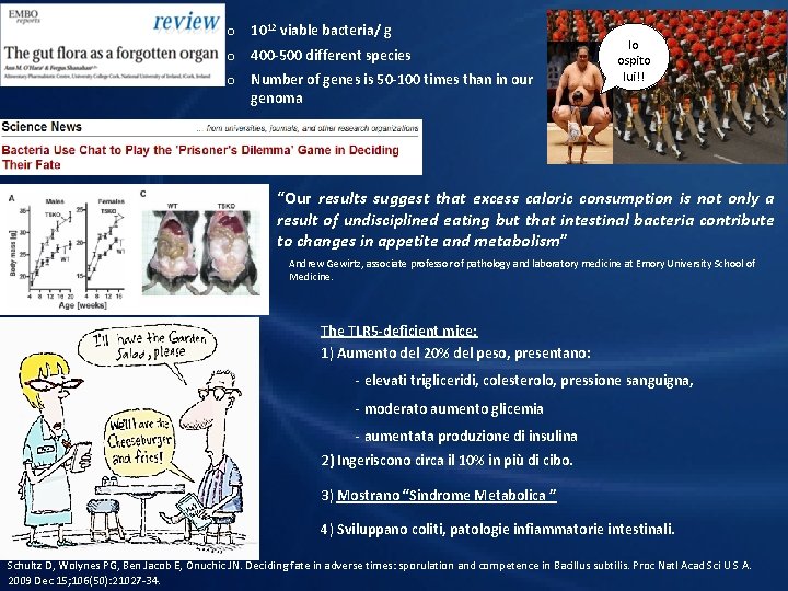 o 1012 viable bacteria/ g o 400 -500 different species o Number of genes