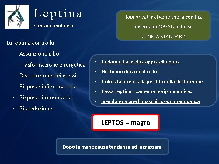 Leptina Ormone multiuso Topi privati del gene che la codifica diventano OBESI anche se