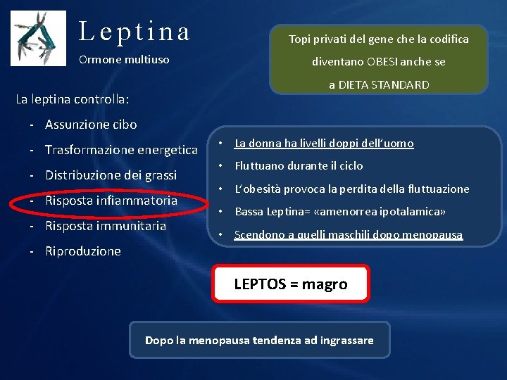 Leptina Ormone multiuso Topi privati del gene che la codifica diventano OBESI anche se