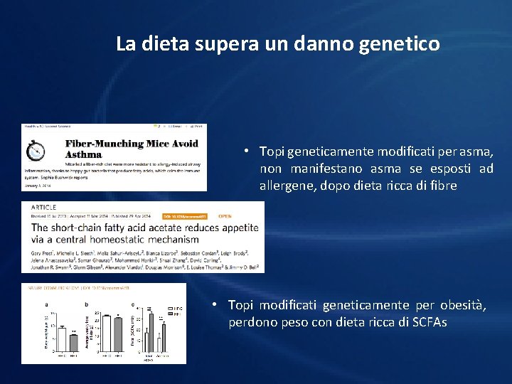 La dieta supera un danno genetico • Topi geneticamente modificati per asma, non manifestano