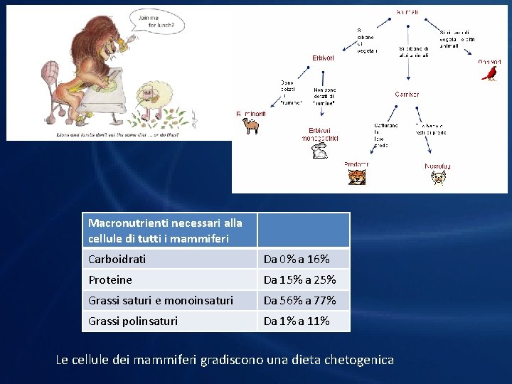 Macronutrienti necessari alla cellule di tutti i mammiferi Carboidrati Da 0% a 16% Proteine