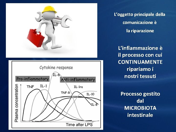 L’oggetto principale della comunicazione è la riparazione L’infiammazione è il processo con cui CONTINUAMENTE