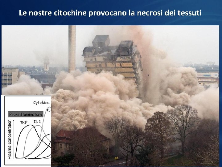 Le nostre citochine provocano la necrosi dei tessuti 