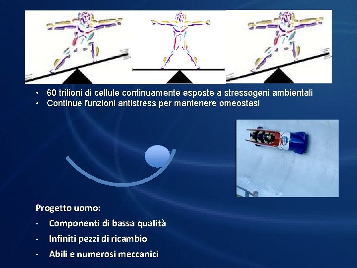  • 60 trilioni di cellule continuamente esposte a stressogeni ambientali • Continue funzioni