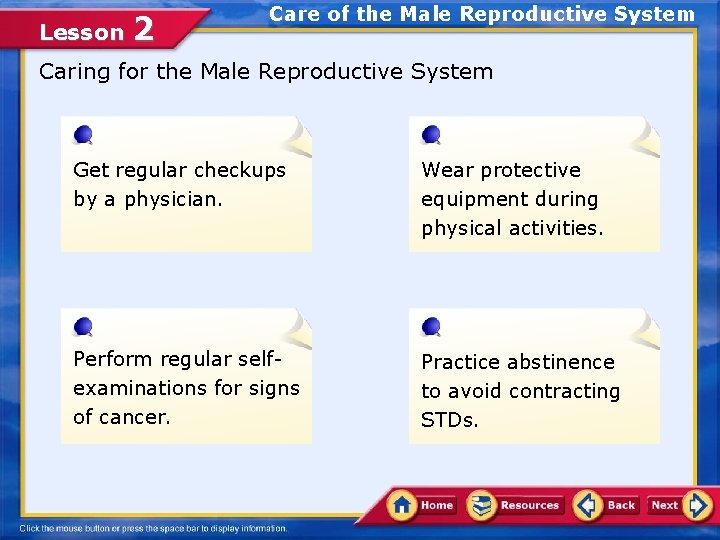 Lesson 2 Care of the Male Reproductive System Caring for the Male Reproductive System