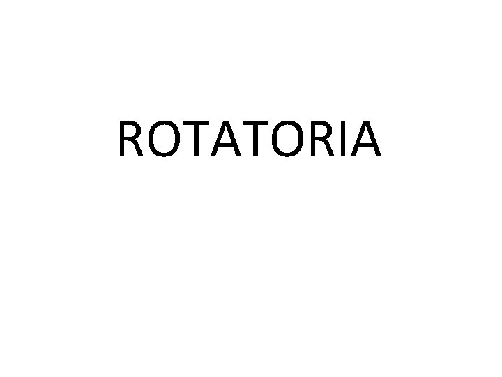 ROTATORIA 