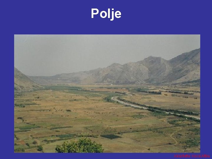 Polje Készítette: Kocsi Attila 
