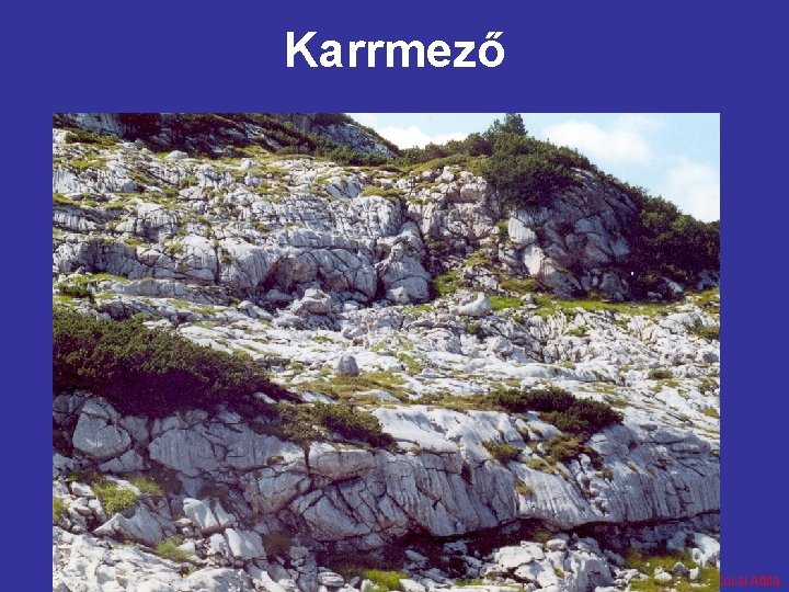 Karrmező Készítette: Kocsi Attila 