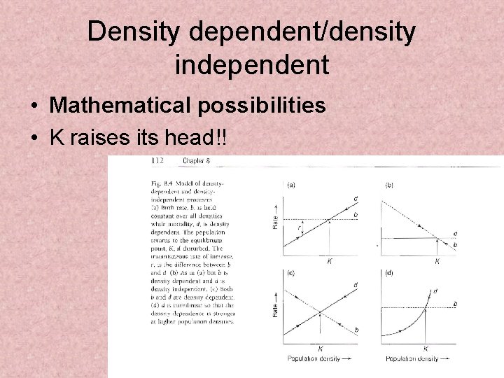 Density dependent/density independent • Mathematical possibilities • K raises its head!! 