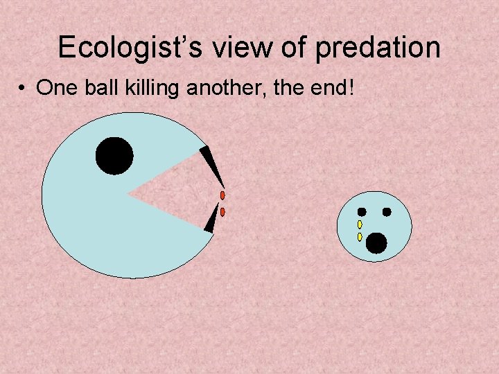 Ecologist’s view of predation • One ball killing another, the end! 