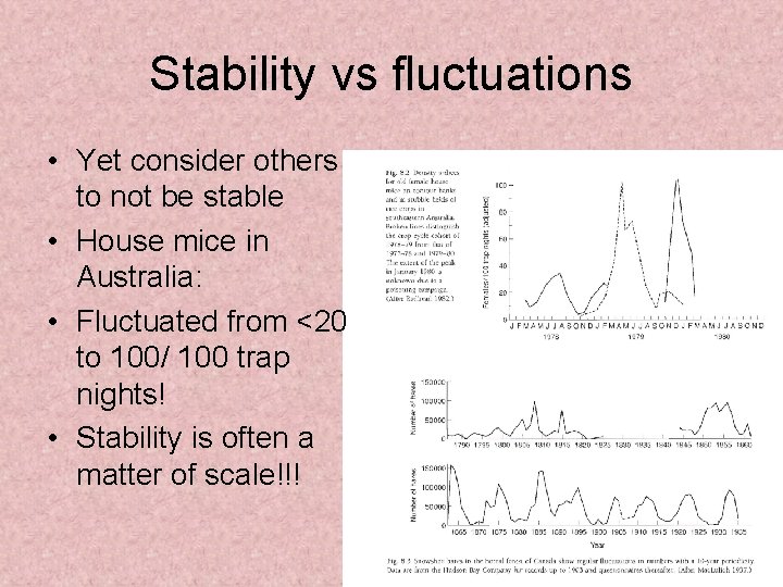 Stability vs fluctuations • Yet consider others to not be stable • House mice