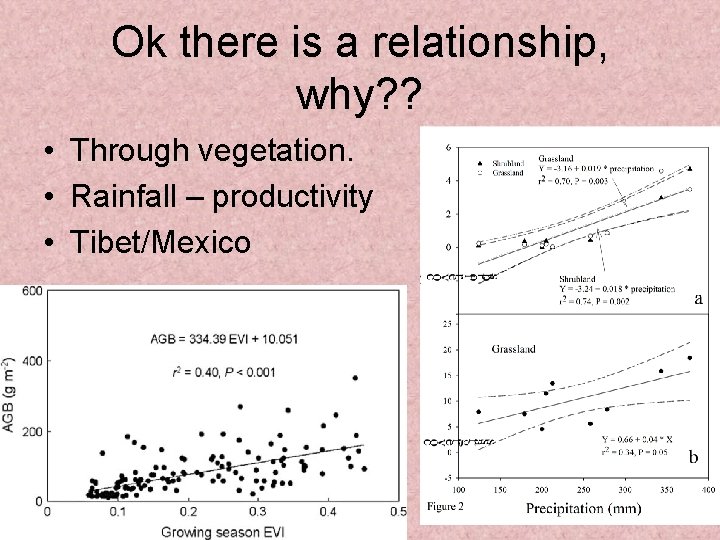 Ok there is a relationship, why? ? • Through vegetation. • Rainfall – productivity