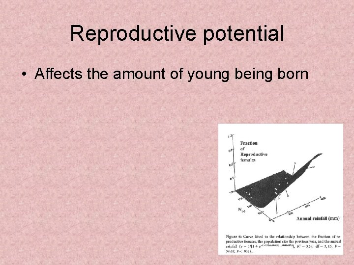 Reproductive potential • Affects the amount of young being born 