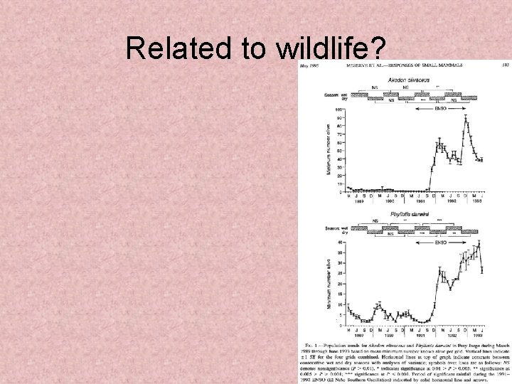 Related to wildlife? 