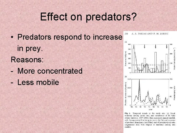 Effect on predators? • Predators respond to increase in prey. Reasons: - More concentrated