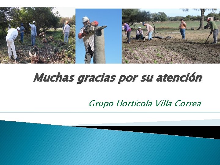 Muchas gracias por su atención Grupo Hortícola Villa Correa 